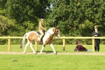 SBM_67395