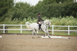 SBM_000077