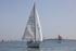 190629 SEA NYMPH III GBR5754T D43A2615