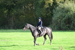 WJ7_5545