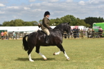 SBM_17708
