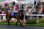 210826-Race 1-Blue Courvoisier-6239