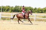 SBM_002371