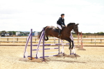 SBM_006432