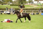 SBM_71555