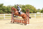 SBM_003847