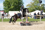 SBM_17799