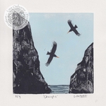 Choughs