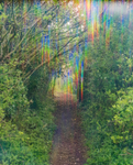 25th April Light Path
