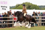 SBM_06162