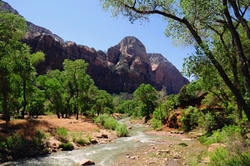 Zion National Park portfolio