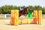 SBM_001011