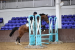 SBM_001637