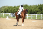 SBM_007986