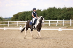 SBM_008864