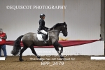 BPP_2479