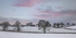 Winter Sunset