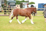 SBM_10372