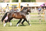 SBM_09076