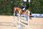 Cls 24 Snr Foxhunter portfolio