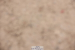231112A-120943-03991