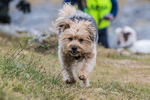 Hutton Roof-689