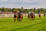 230923-Race 7-Two Brothers-7173