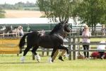 SBM_02092