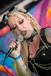 GREENMAN CHAOS FESTIVAL 2022 portfolio