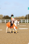 SBM_000434