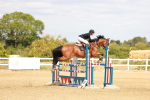 SBM_006598