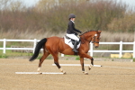 SBM_003401