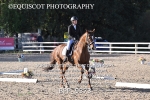 BPP_9373