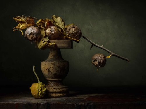 Medlars. Light-painted still-life photograph of ripe medlar fruit and a gourd. Lit by diffused torchlight.