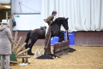 SBM_003031