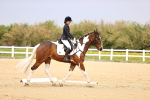 SBM_007332