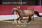 JAC_4678