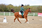SBM_002595