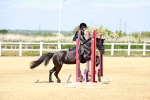 SBM_007335