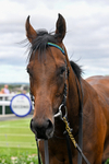 040726-Race 7-Zoulette-5796