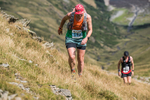 Hartsop Hop-429