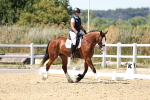 SBM_002685