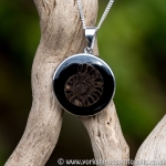 jpai171 Whitby Jet & Ammonite Inlay