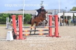 CLASS 5 Pony Discovery / 90cm Open portfolio