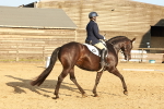 SBM_000597