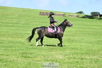Theo's Group XC portfolio