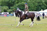 SBM_02644