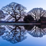 Landscape-007