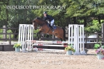 BPP_3534