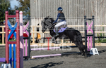 Junior Showjumping_10-11-2019-23